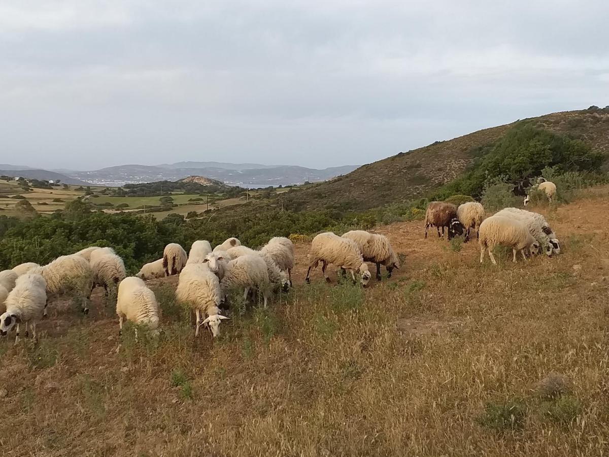 Ralaki Cottage מראה חיצוני תמונה